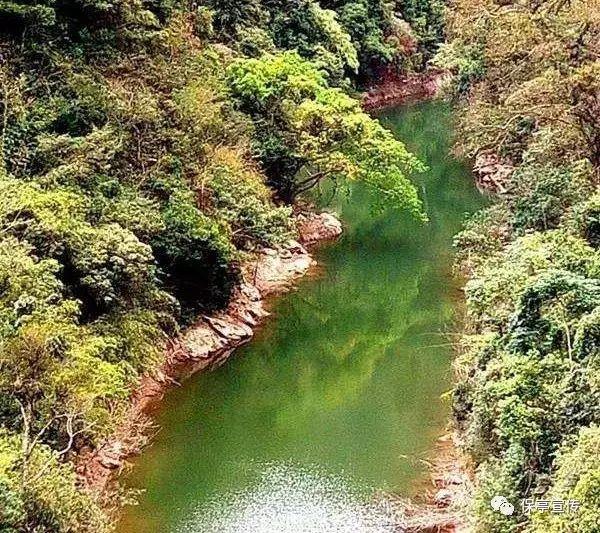 走进大兴安岭 追寻祖国最北的浪漫与神秘